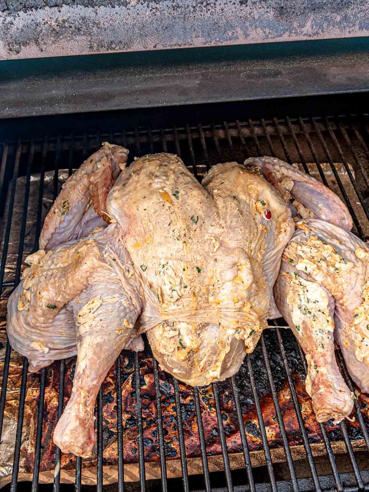 Spatchcock turkey on a smoker.