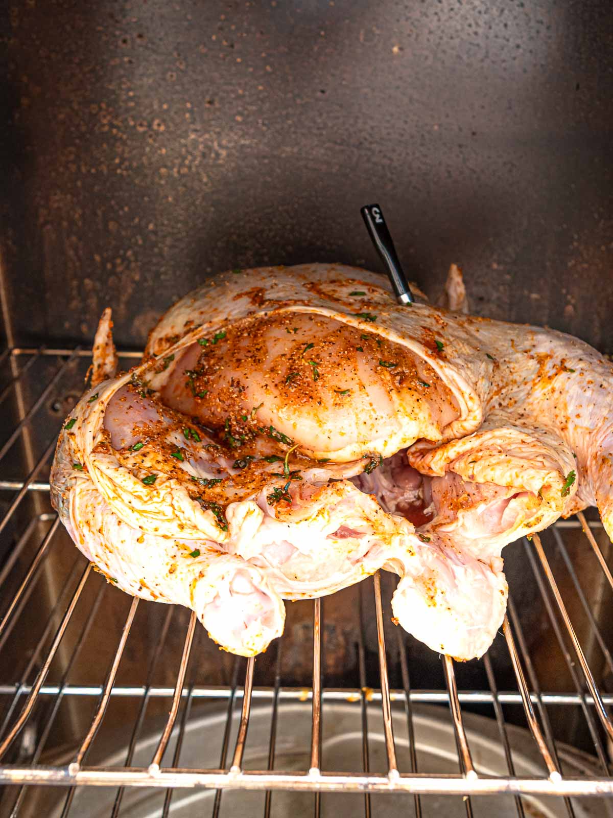 Lemon herb whole chicken smoking in an electric smoker with a thermometer probe inserted.